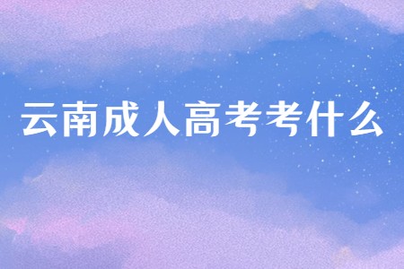 云南成人高考考什么