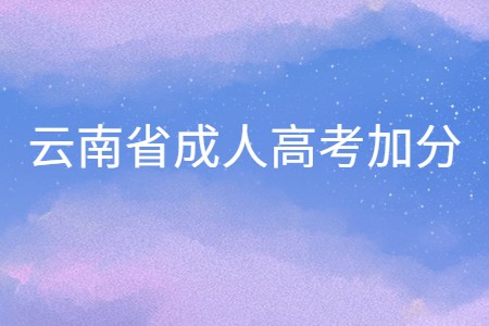 云南省成人高考加分