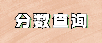 成人高考分数查询