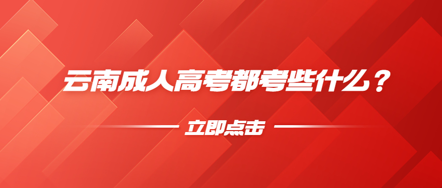 云南成人高考考什么