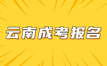 2024年云南成考报名本科条件是什么？
