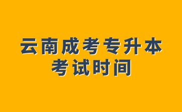 2024年云南成考专升本考试时间
