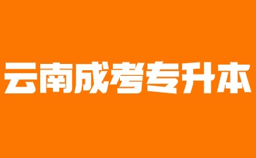 2024年云南省成人高考专升本有哪些优势?