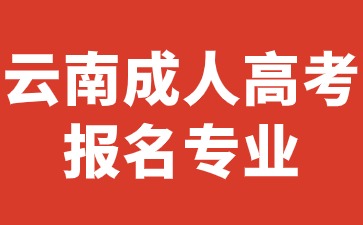 2024年云南成人高考报考专业推荐有哪些？