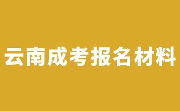 2024年云南成考在线报名需要准备哪些材料?